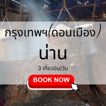 เที่ยวบิน ( ดอนเมือง น่าน )