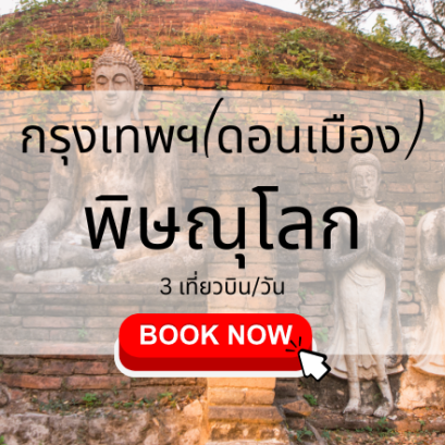 เที่ยวบิน (ดอนเมือง พิษณุโลก)