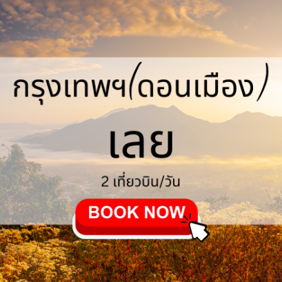 เที่ยวบิน (ดอนเมือง เลย)