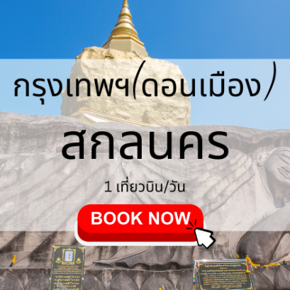 เที่ยวบิน (ดอนเมือง สกลนคร)