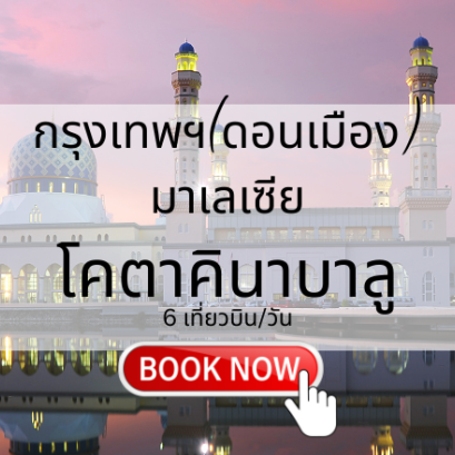 เที่ยวบิน (ดอนเมือง - โคตาคินาบาลู)