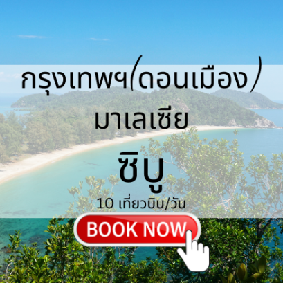 เที่ยวบิน  (ดอนเมือง - ซิบู)