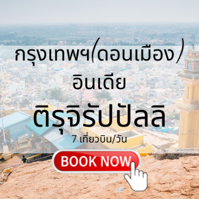 เที่ยวบิน (ดอนเมือง - ติรุจิรัปปัลลิ)