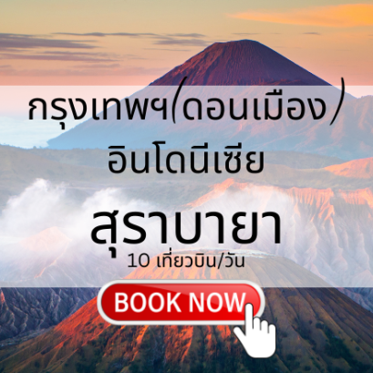 เที่ยวบิน (ดอนเมือง - สุราบายา)