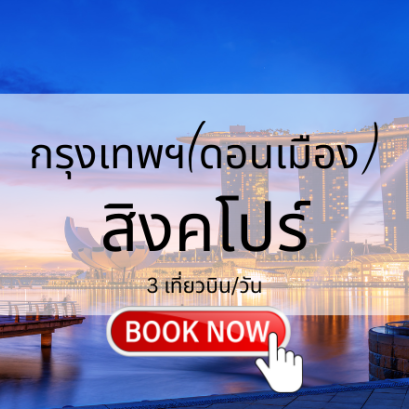 เที่ยวบิน (ดอนเมือง - สิงคโปร์)