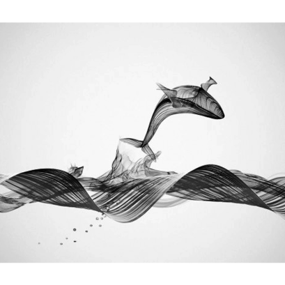 Designs  of imagination