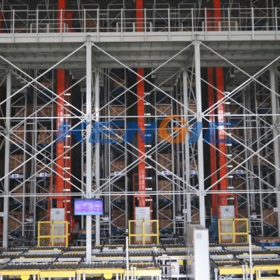 Shandong Pharmaceutical ASRS