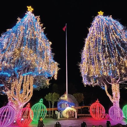 งานไฟประดับ (Decorative Lights)