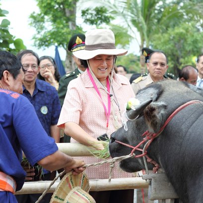 ศูนย์เรียนรู้วัฒนธรรมเกษตรล้านนา [ความเป็นมา]