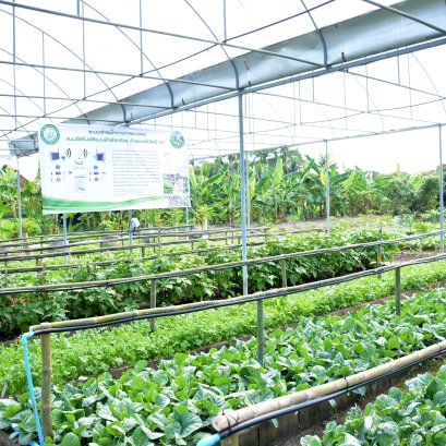 เกษตรทฤษฎีใหม่ตามแนวพระราชดำริ [Zone 2]