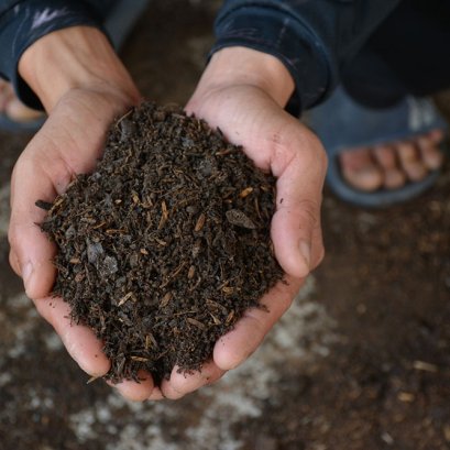 ปุ๋ยหมักชีวภาพและวัสดุปลูก