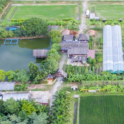 เกษตรทฤษฎีใหม่ตามแนวพระราชดำริ มหาวิทยาลัยแม่โจ้