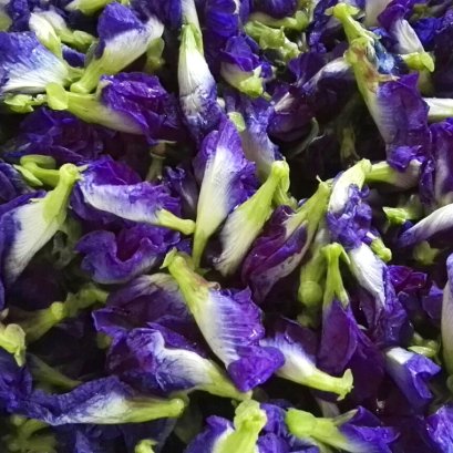 อัญชันอินทรีย์