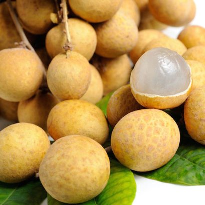 ลำไยพันธุ์กรอบกะทิ (Krob kra ti)