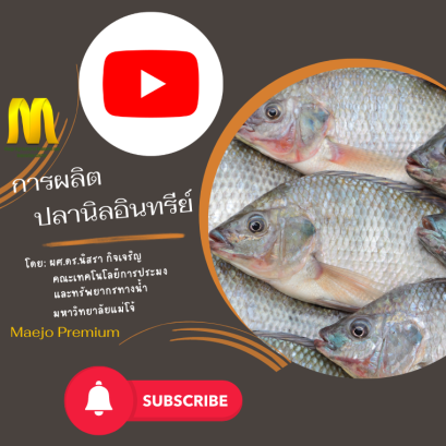 การผลิตปลานิลอินทรีย์