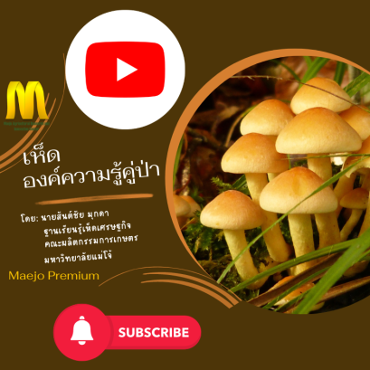 เห็ด:องค์ความรู้คู่ป่า