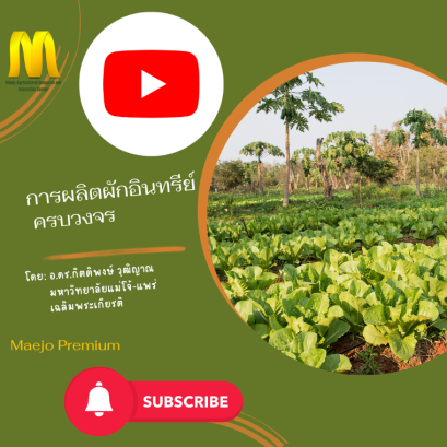 การผลิตผักอินทรีย์ครบวงจร