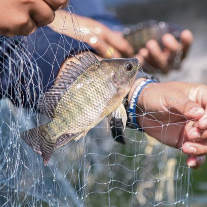 เกษตรทฤษฎีใหม่ตามแนวพระราชดำริ [Zone 4]