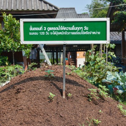 ปุ๋ยหมักและปุ๋ยน้ำชีวภาพ