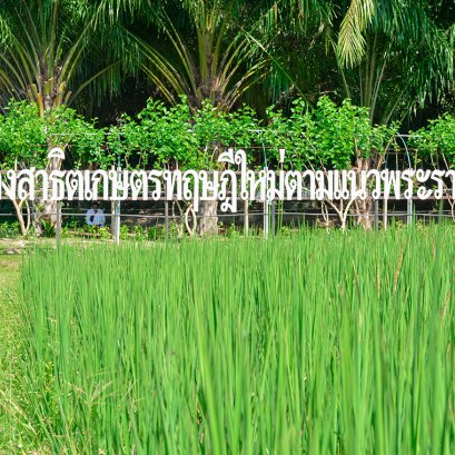 เกษตรทฤษฎีใหม่ตามแนวพระราชดำริ [Zone 1]