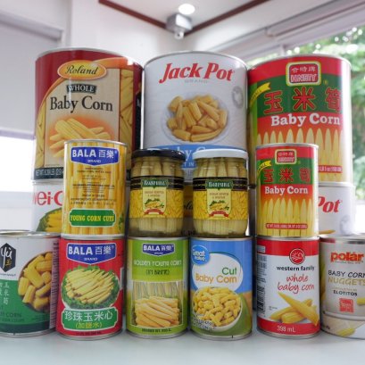 CANNED BABY CORN (YOUNG CORN) IN BRINE