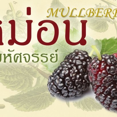 หม่อน…มหัศจรรย์
