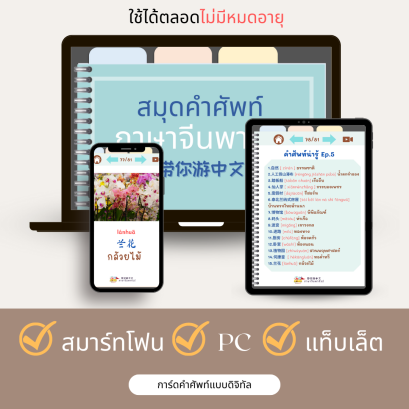 การ์ดคำศัพท์ภาษาจีนดิจิทัล Digital Chinese Vocabulary Cards ไฟล์PDF/PNG ใช้ได้ในแอพGoodnote,NoteWriter