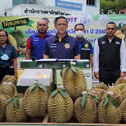 จังหวัดยะลา ยกทัพขบวนทุเรียนตัดใหม่สดจากสวน ส่งตรงถึงเชียงใหม่ ภายใต้คอนเซ็ป “พาทุเรียนยะลาขึ้นดอย” คาดสร้างรายได้กว่า 200 ล้านบาท