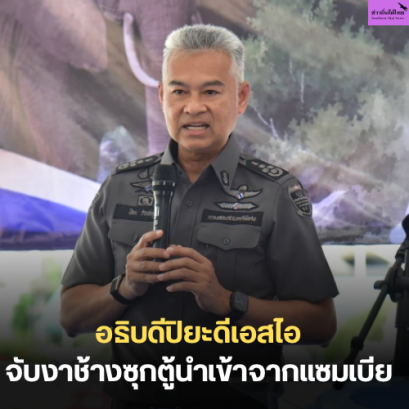 อธิบดีปิยะดีเอสไอจับงาช้างซุกตู้นำเข้าจากแซมเบีย