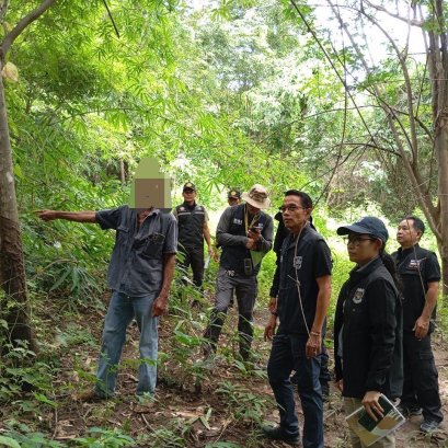 DSI นำตัว 5 ผู้ต้องหาปลูกยางพาราในเขตป่าสงวนแห่งชาติป่าสองฝั่งลำน้ำแควน้อย จังหวัดพิษณุโลก รวมเนื้อที่กว่า 270 ไร่ ส่งพนักงานอัยการ