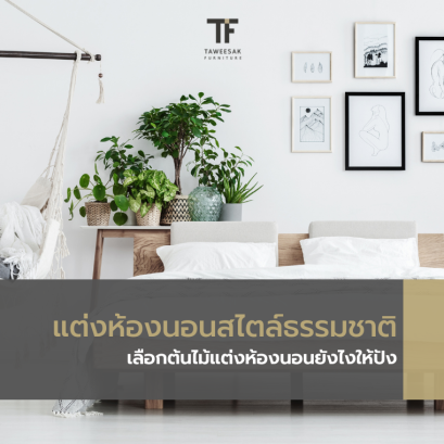 แต่งห้องนอนสีเขียว สไตล์ธรรมชาติ เลือกต้นไม้แต่งห้องนอนยังไงให้ปัง