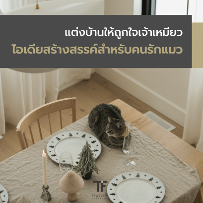 แต่งบ้านให้ถูกใจเจ้าเหมียว ไอเดียสร้างสรรค์สำหรับคนรักแมว