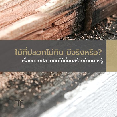 ไม้ที่ปลวกไม่กิน มีจริงหรือ? เรื่องของไม้ที่คนสร้างบ้านควรรู้