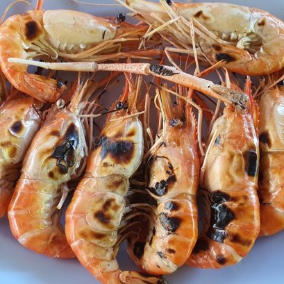 กุ้งเผา คลอง 8 สวนอาหารกุ้งเผา ลำลูกกา มีกุ้งให้เลือกหลายขนาด น้ำจิ้มแซ่บถึงใจ
