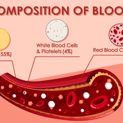 Hemoglobin red blood cell