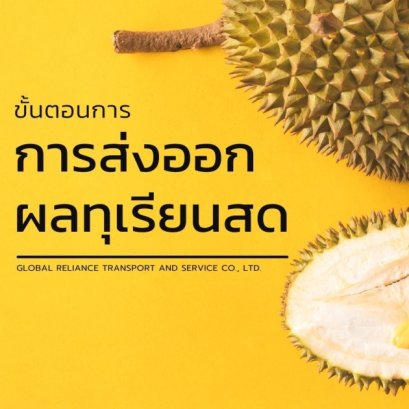 การส่งออกทุเรียน