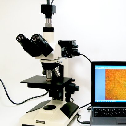 Observation of metal structure
