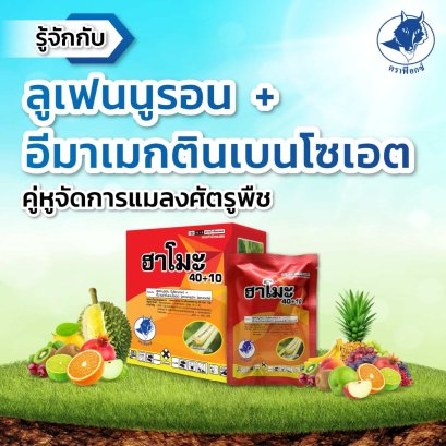 รู้จักกับ.. ลูเฟนนูรอน+อีมาเมกตินเบนโซเอต คู่หูจัดการแมลงศัตรูพืช