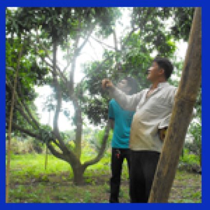 งานร่วมบริษัทและร้านค้า