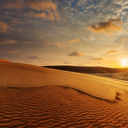 เวียดนามก็มีทะเลทราย