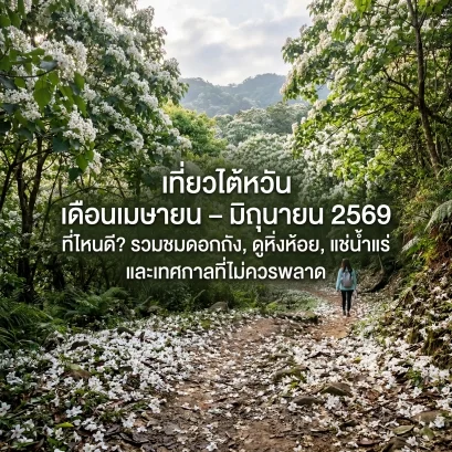 เที่ยวไต้หวันช่วงเมษายนมิถุนายน 2026 ไปไหนดี? รวมดอกทง ไฟหิ่งห้อย น้ำพุร้อน และเทศกาลที่ไม่ควรพลาด