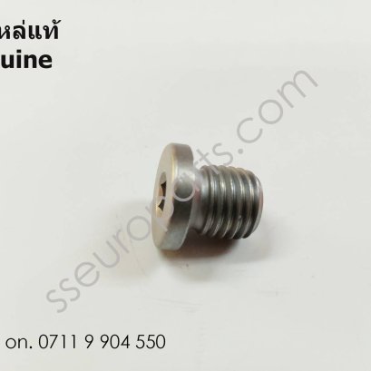 ปลั๊กสกรู หมายเลขชิ้นส่วน: 07119904550 9904550