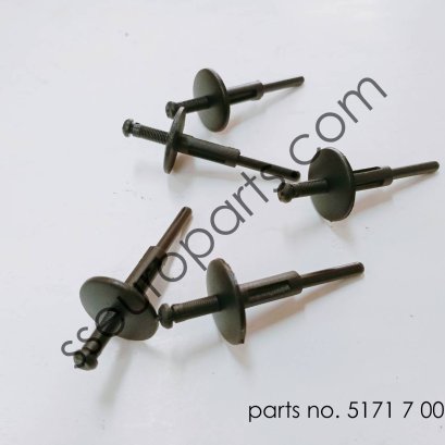 หมุดขยาย หมายเลขชิ้นส่วน: 51717002953 7002953 เทียบ