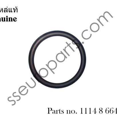 Rear Main Seal Part number: 11148664904  11148602594 8602594 8602594  1114 8 664 904  1114 8 602 594