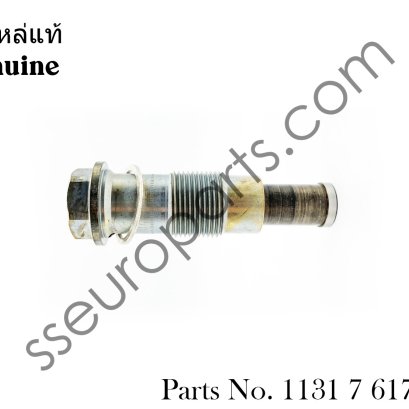 ตัวปรับความตึงโซ่ราวลิ้น หมายเลขชิ้นส่วน: 11317617475,11318622486 1131 7 617 475  1131 8 622 486  7617475 8622486 BMW/MINI