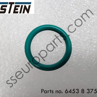 Gasket ring Part number: 64538375742 8375742 EUSTEIN
