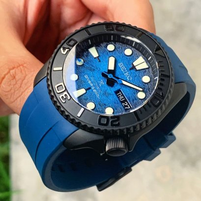 THE BLACK PEGASUS SPECIAL EDITION