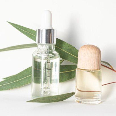 In a Search of Whales