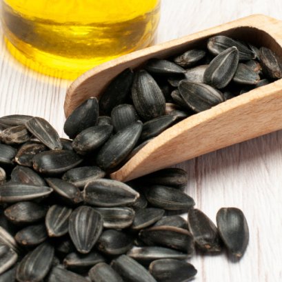 Journey Through the Sahara(copy)