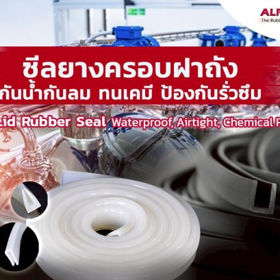 Tank Lid Seals: The Ultimate Shield Against Leaks, Weather, and Chemicals